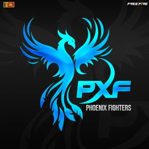 PHOENIX FIGHTERS