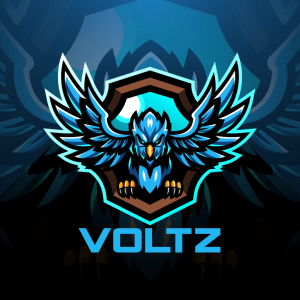 THE VOLTZ