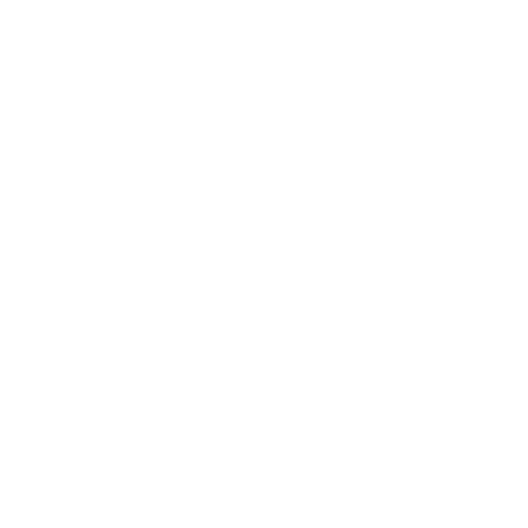AORUS
