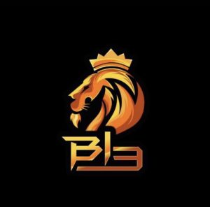 B13 ESPORTS