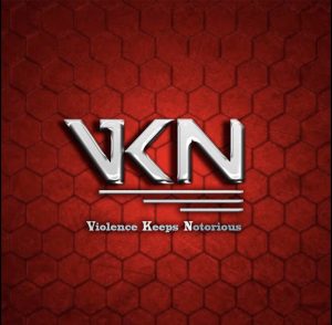 VKN ESPORTS